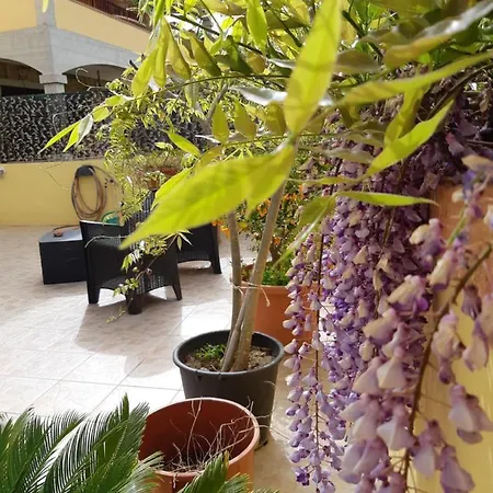 Da Antonella Bed & Breakfast *