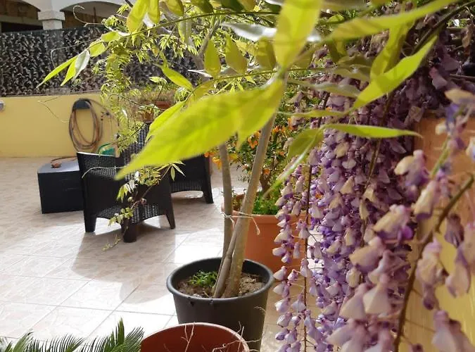 Da Antonella Oda ve Kahvaltı *